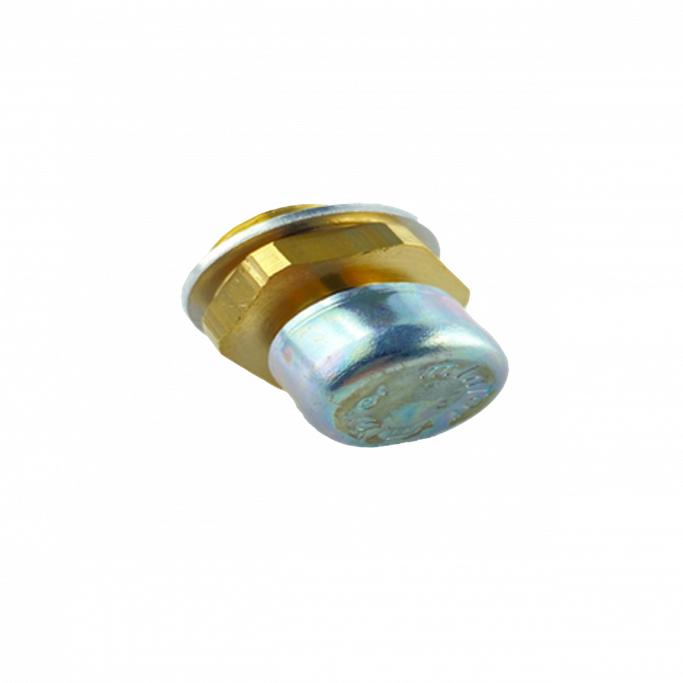 Oil plug (A03114)